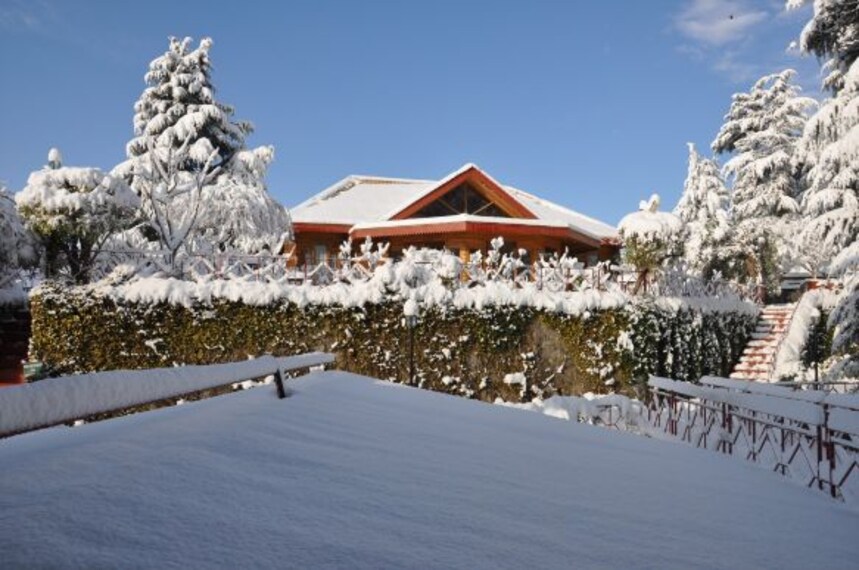 The Chalets Naldehra_6